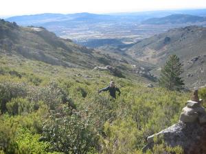 3053258653_e6935105f2_b-medium