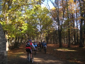 tiemblo15_redimensionar