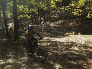 tiemblo23_redimensionar