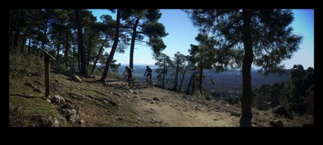 escorial-frame-medium