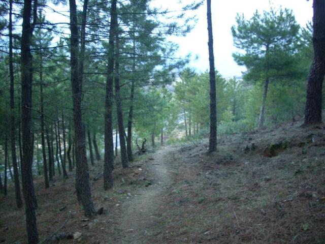 dscn3053-medium1 dscn3053-medium1