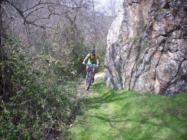 dscn3478-medium dscn3478-medium