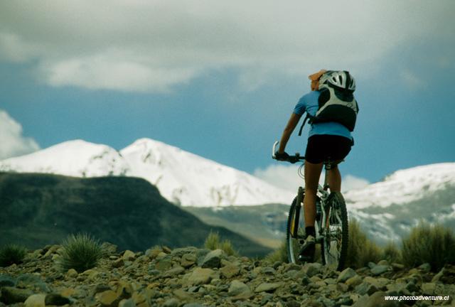 49bee4e087f4a_MTB2-WEB