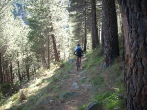 dscn4269-medium dscn4269-medium