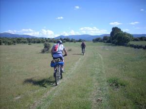 DSCN4835 (Medium) DSCN4835 (Medium)