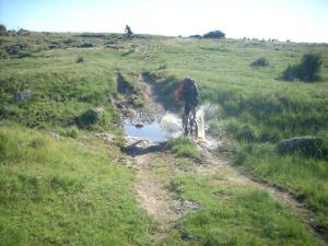 DSCN4838 (Medium) DSCN4838 (Medium)