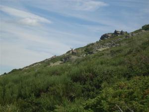 DSCN5352 (Medium) DSCN5352 (Medium)