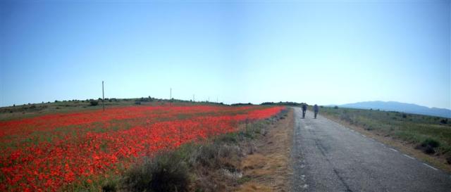 Panorama 1 (Medium) Panorama 1 (Medium)