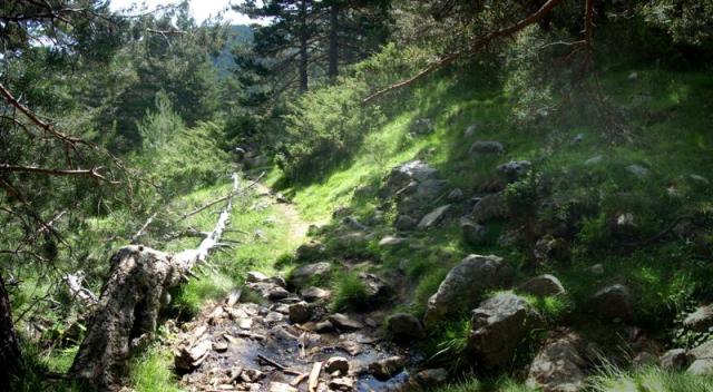 Panorama 1 (Medium) Panorama 1 (Medium)