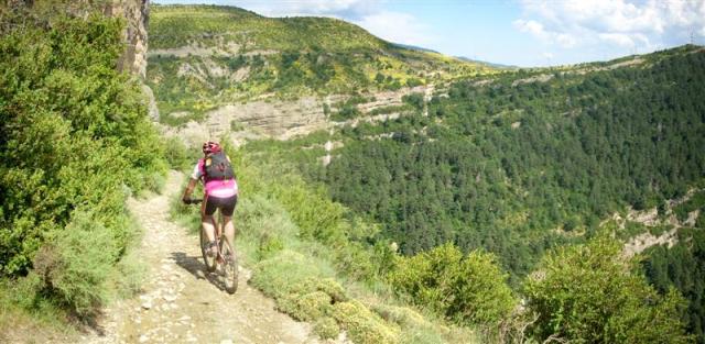 Panorama 16 (Medium)