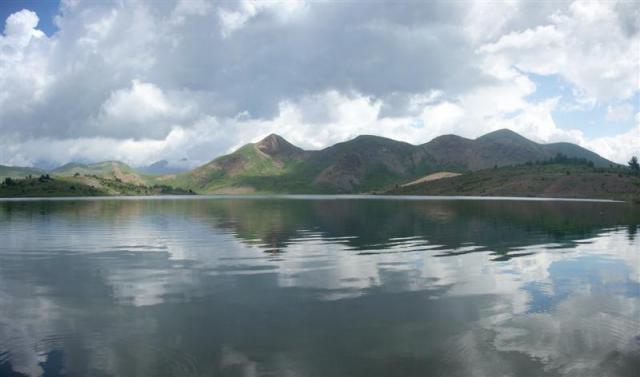 Panorama 25 (Medium)