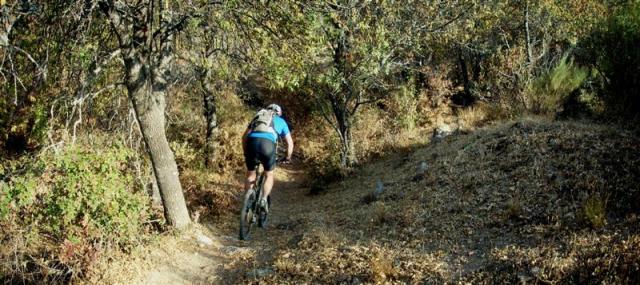 Panorama 1 (Medium) Panorama 1 (Medium)