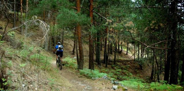 Panorama 2 (Medium) Panorama 2 (Medium)