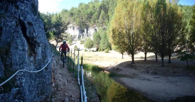 Lobos 5 (Medium) Lobos 5 (Medium)