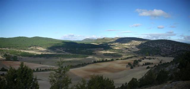 Lobos 7 (Medium) Lobos 7 (Medium)