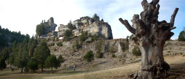 Panorama 1 (Medium) Panorama 1 (Medium)