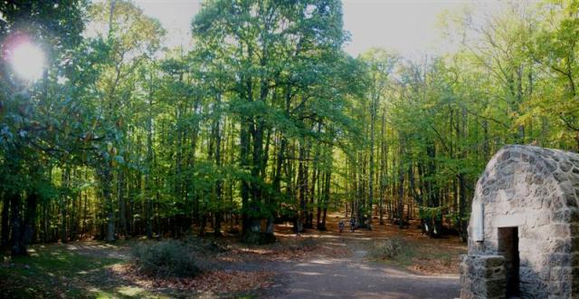 Castañar2009-003 (Medium) Castañar2009-003 (Medium)