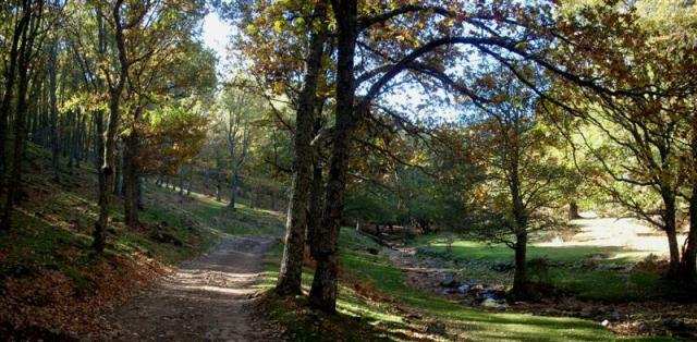 castañar2009-005 (Medium) castañar2009-005 (Medium)