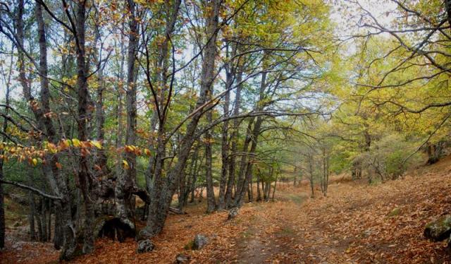 catañar2009-001 (Medium) catañar2009-001 (Medium)