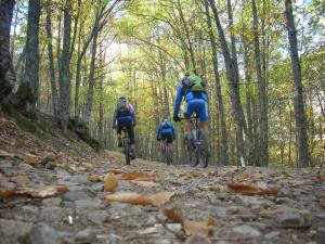 DSCN7900 (Medium) DSCN7900 (Medium)