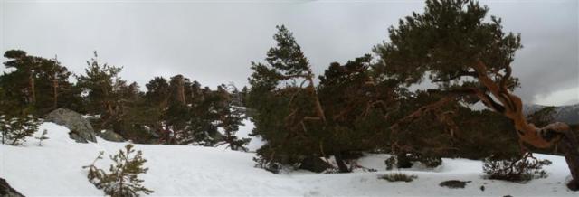 7Panorama 2 (Medium)