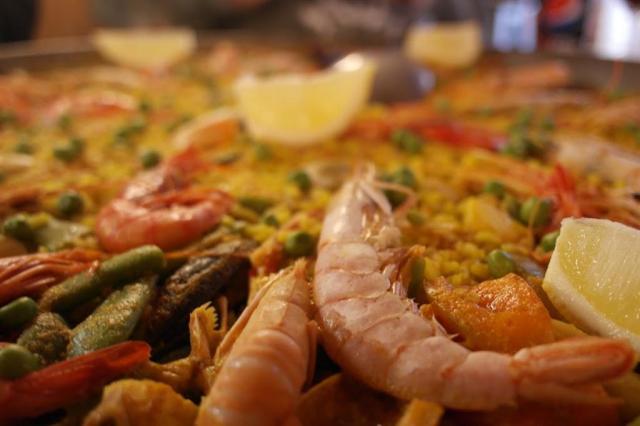 SAM_2040 (1) (Large)