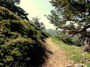 GEDSC DIGITAL CAMERA