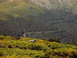 GEDSC DIGITAL CAMERA