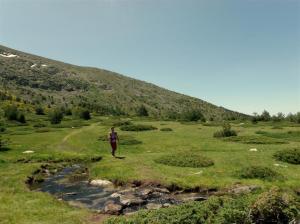 GEDSC DIGITAL CAMERA