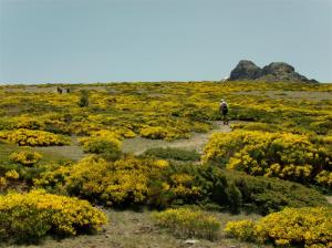 GEDSC DIGITAL CAMERA