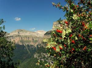 GEDSC DIGITAL CAMERA