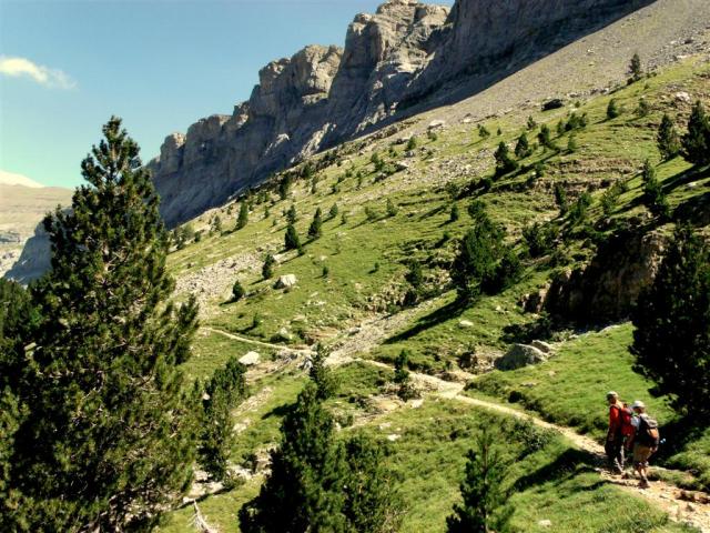 GEDSC DIGITAL CAMERA