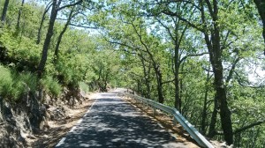 IMG_20150604_132227 (Large)