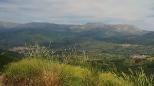 IMG_20150605_121256 (Large)