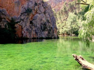 GEDSC DIGITAL CAMERA