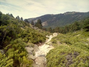 IMG_20150926_120426_1 (Large)