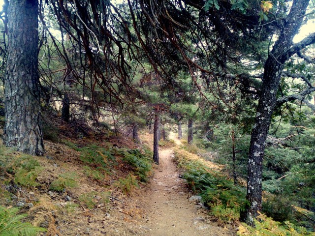 IMG_20150926_164518_1 (Large)