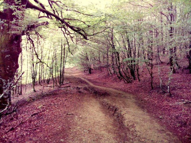 IMG_20160626_133649 (Large)