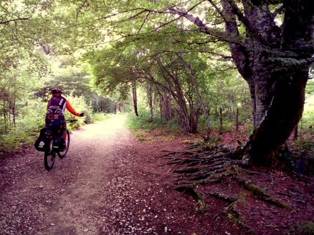 IMG_20160626_151845 (Large)