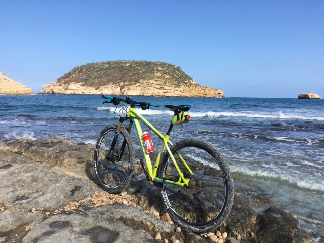 IMG_1466 (Large).JPG