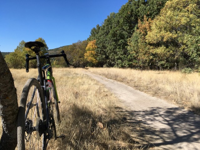 IMG_3550 (Large).JPG